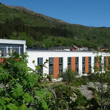 Montana Bergen