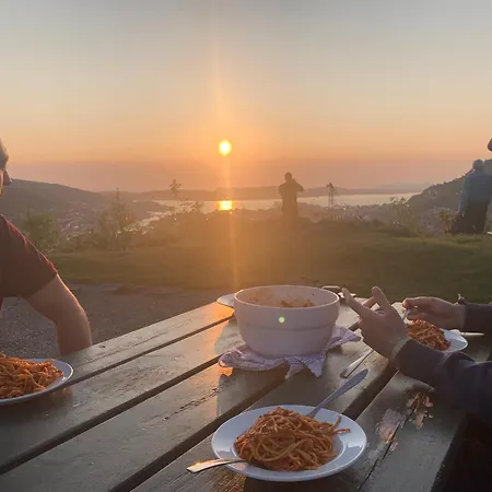 Montana Vandrarhem *