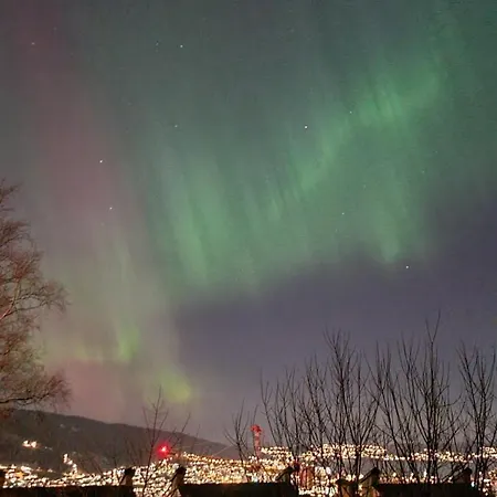 شباب بيرغن مونتانا *