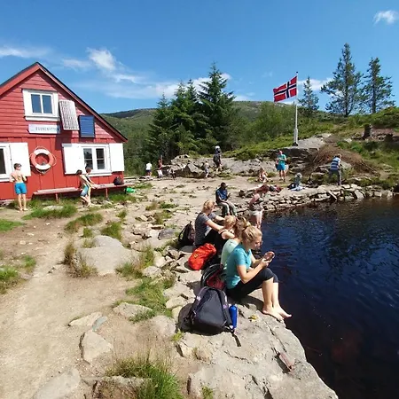 شباب بيرغن مونتانا