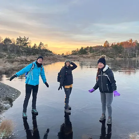 Montana Vandrarhem *