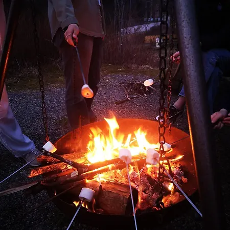 شباب بيرغن مونتانا بيت شباب برغن