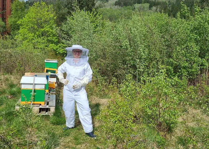 モンタナ ベルゲン